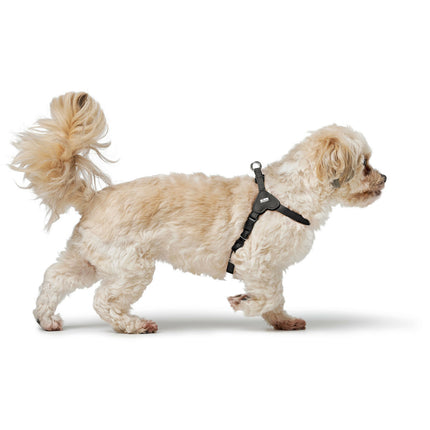 Hunter Hundsele Hunter Soho Mini Svart