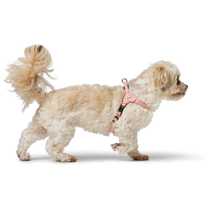 Hunter Hundsele Hunter Soho Mini Rosa Xs