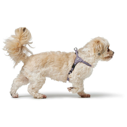 Hunter Hundsele Hunter Soho Mini Lila