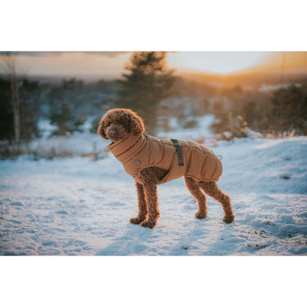 Hunter Djurkläder Hunter Paxson Brun Polyester