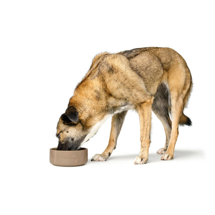 Hunter Hundmatare Hunter Osby Beige Keramik 1,1 L