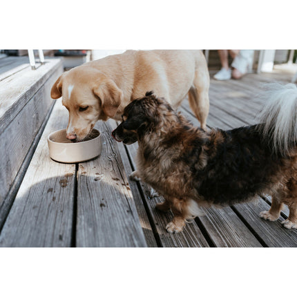 Hunter Hundmatare Hunter Osby Beige Keramik 1,1 L