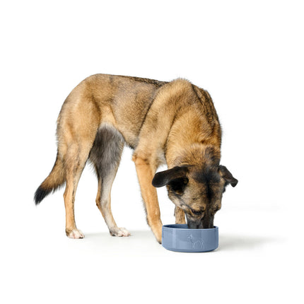 Hunter Hundmatare Hunter Osby Glazed Blå Keramik 2,5 L