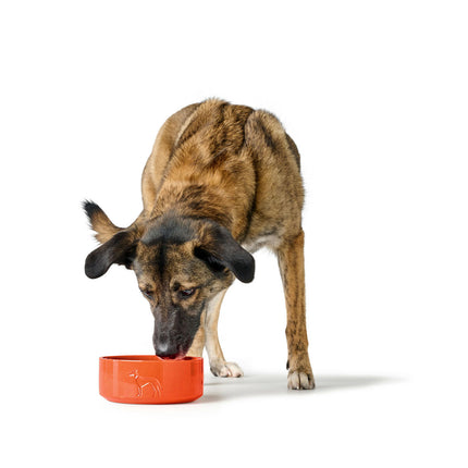 Hunter Hundmatare Hunter Osby Orange Keramik 2,5 L