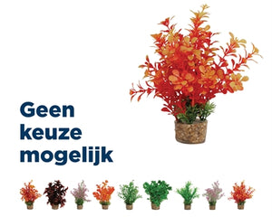 Zolux Ornament Pastic Pflanze Auf Steinen Fröhlich Sortiert