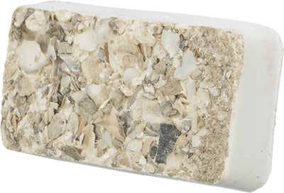 Trixie Picken Von Steinen Mit Muschelmineralien Und Muscheln