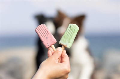Trixie Ice Pop Pink