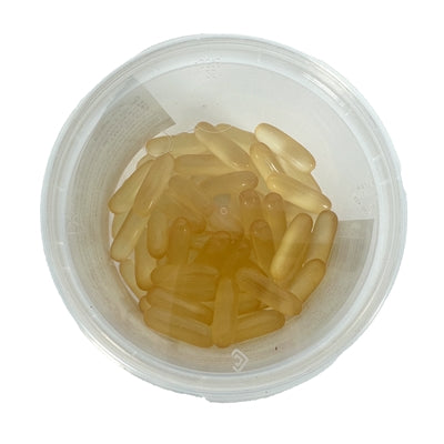 Dierendrogist Lachsöl-Kapseln