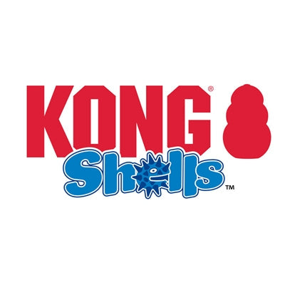 Kong Muscheln Bär Braun