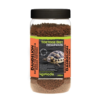 Komodo Nahrung Schildkröte Löwenzahn