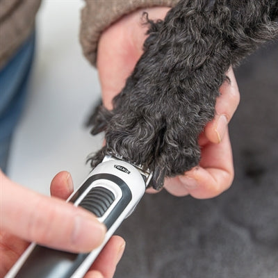 Trixie Clipper Set Tr500 Slim Kabellos Weiss/Schwarz