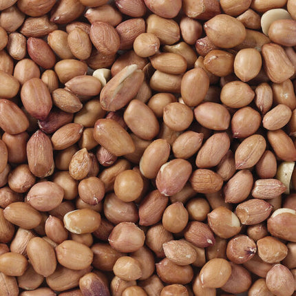 Deli Nature Fågelmat Deli Nature Premium 1 Kg