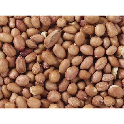 Deli Nature Fågelmat Deli Nature Premium 3 Kg