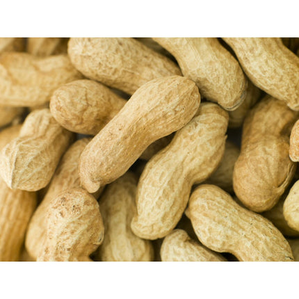 Deli Nature Fågelmat Deli Nature Premium 1,6 Kg