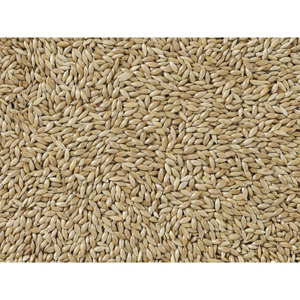 Deli Nature Fågelmat Deli Nature Premium 5 Kg