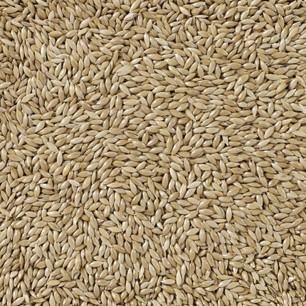 Deli Nature Fågelmat Deli Nature Premium 5 Kg