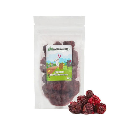 Factoryherbs Kaninmat Factoryherbs Freeze-Dried Blackberry Chinchilla Marsvin Hamster Råtta Mus Gnagare Fåglar