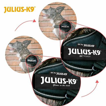 Julius K9 Hundsele Julius K9 Idc Röd
