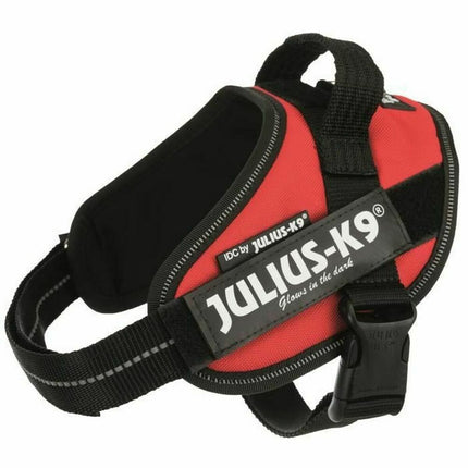 Julius K9 Hundsele Julius K9 Idc Röd