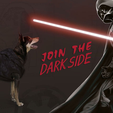 Star Wars Hundtröja Star Wars Xxs Svart