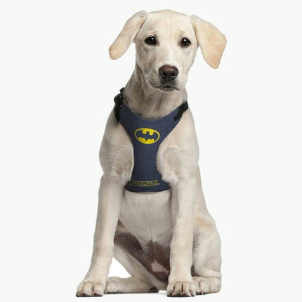 Batman Hundsele Batman Blå