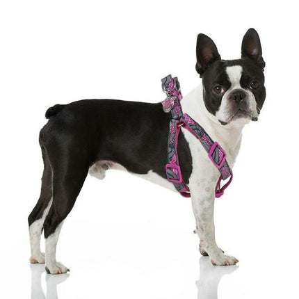 Superman Hundsele Superman Xxs/Xs Rosa Xxs