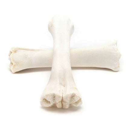 Gloria Hundgodis Gloria 20 Antal Ben Kalcium