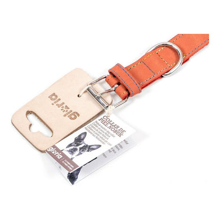 Gloria Hundhalsband Gloria Oasis Röd (35 X 1,2 Cm)