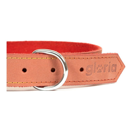 Gloria Hundhalsband Gloria Oasis Röd (35 X 1,2 Cm)