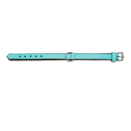 Gloria Hundhalsband Gloria Vadderad Turquoise 40 Cm (40 X 2 Cm)