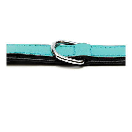 Gloria Hundhalsband Gloria Vadderad Turquoise 40 Cm (40 X 2 Cm)