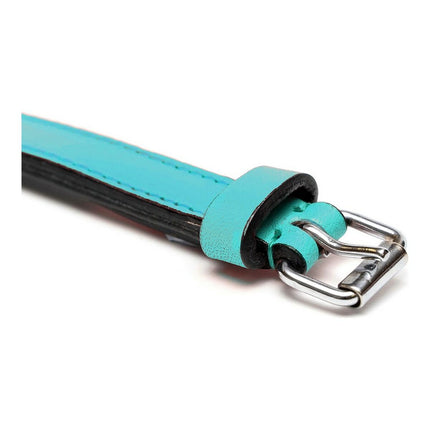 Gloria Hundhalsband Gloria Vadderad Turquoise 45 Cm (45 X 2 Cm)