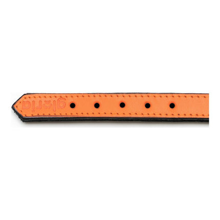 Gloria Hundhalsband Gloria Vadderad Orange (40 X 2 Cm)
