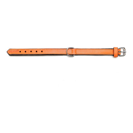 Gloria Hundhalsband Gloria Vadderad Orange (55 X 2,5 Cm)