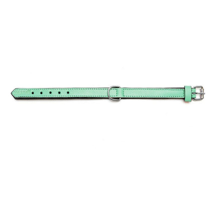 Gloria Hundhalsband Gloria Vadderad Grön (30 X 1,5 Cm)