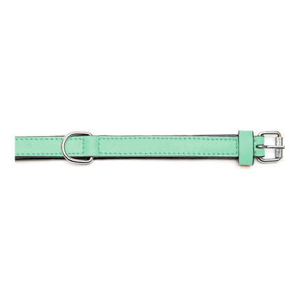 Gloria Hundhalsband Gloria Vadderad Grön (45 X 2 Cm)