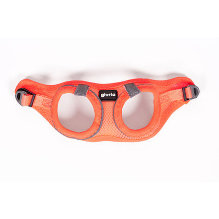 Gloria Hundsele Gloria Trek Star 27-28 Cm 31-34,6 Cm Orange Xs