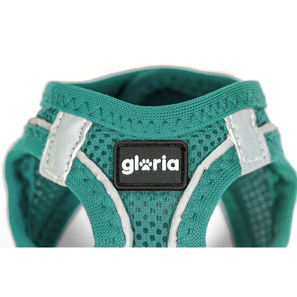 Gloria Hundsele Gloria Trek Star 27-28 Cm 31-34,6 Cm Turkos Xs