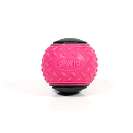 Gloria Boll Till Husdjur Gloria Play And Run Rosa Tpr M 6,35 Cm 2 Antal