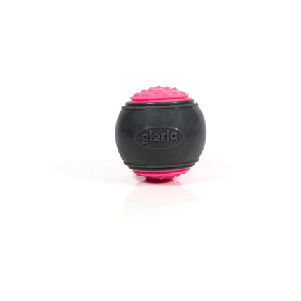 Gloria Boll Till Husdjur Gloria Play And Run Rosa Tpr M 6,35 Cm 2 Antal