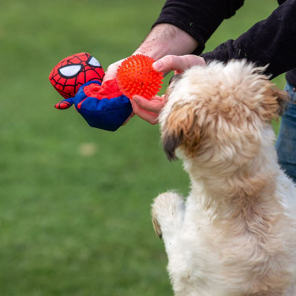 Spider-Man Hundleksak Spider-Man Röd