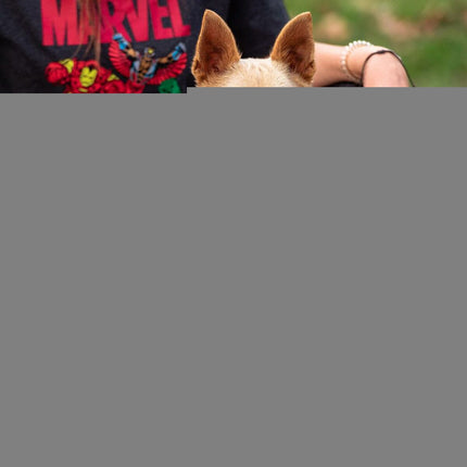 Marvel Hundsele Marvel Xxs/Xs Röd