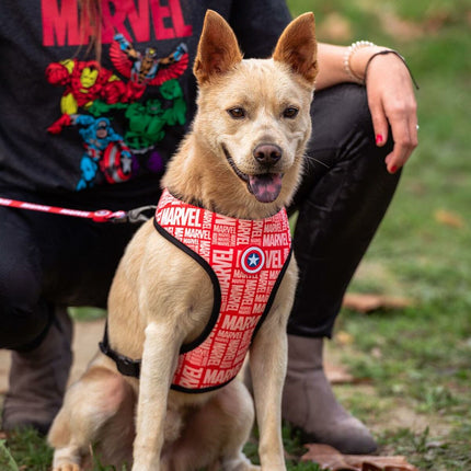 Marvel Hundsele Marvel M/L Röd