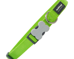 Red Dingo Hundhalsband Red Dingo Lime (1,5 X 24-36 Cm)