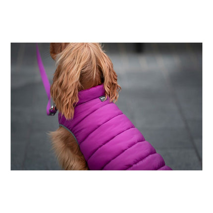 Red Dingo Hundrock Red Dingo Puffer 45 Cm Rosa/Lila