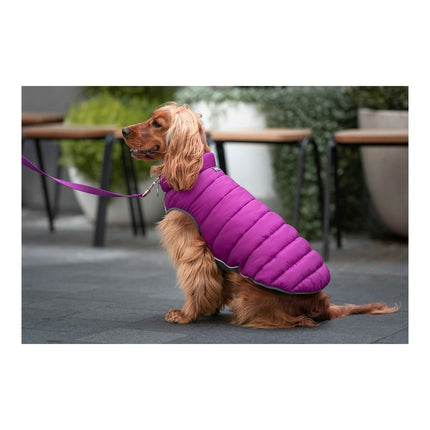 Red Dingo Hundrock Red Dingo Puffer 50 Cm Rosa/Lila