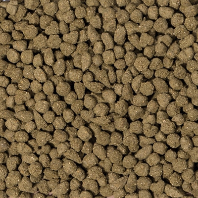 Beaphar Care+ Kaninchen Senior